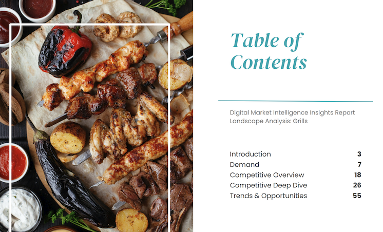 DMI example report preview image